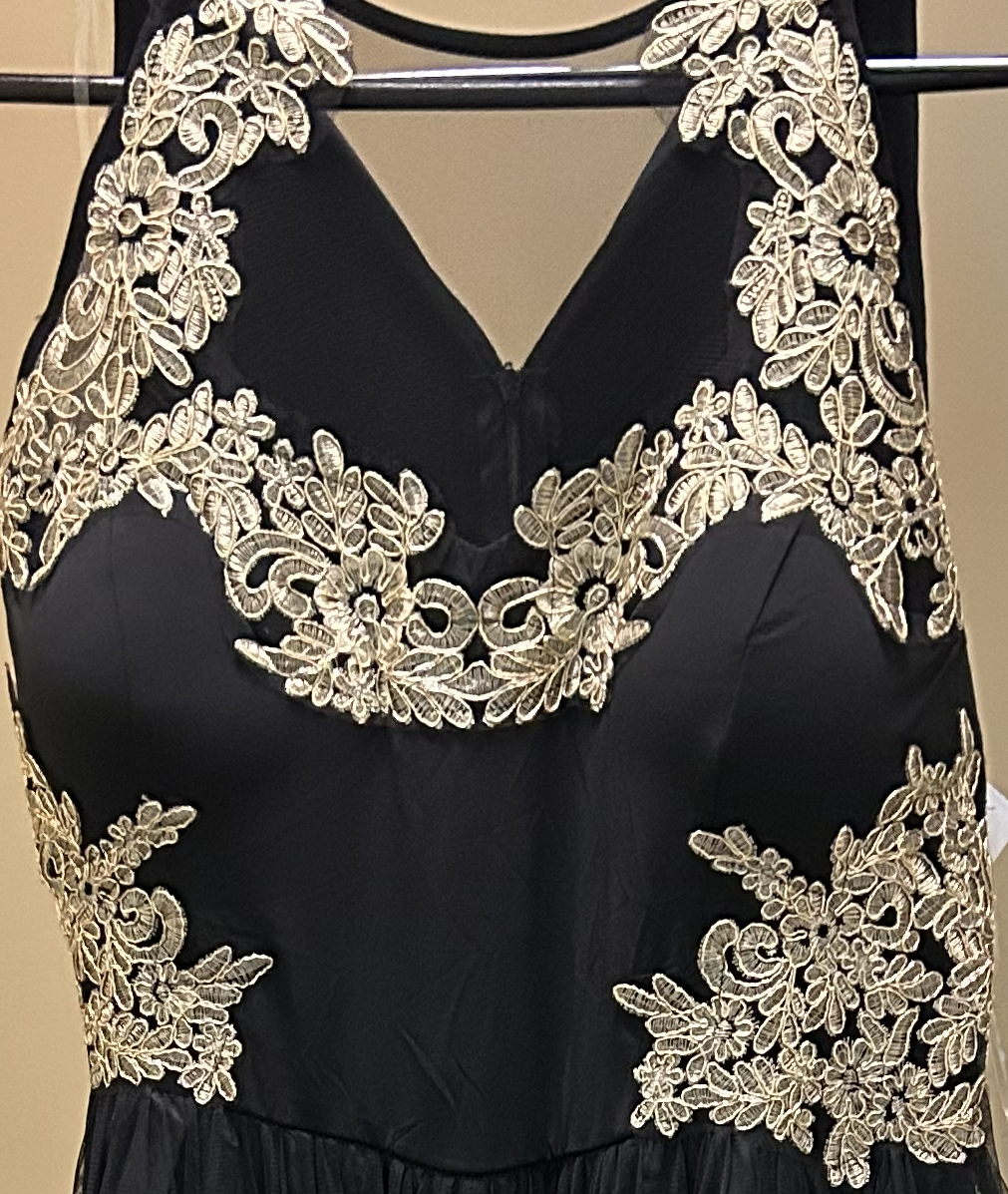 Black sleeveless dress with ornate beige floral lace applique and embroidery, shown on a hanger against a neutral background.